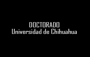 Imagen de la Card