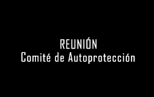 Imagen de la Card